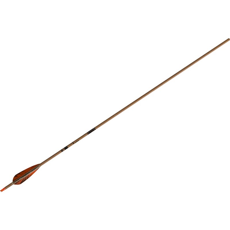 Gold Tip Traditiona… - image