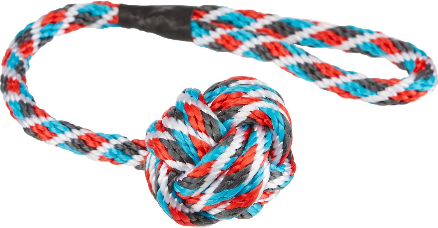 JW Pet® iSqueak Ball Dog Toy Academy