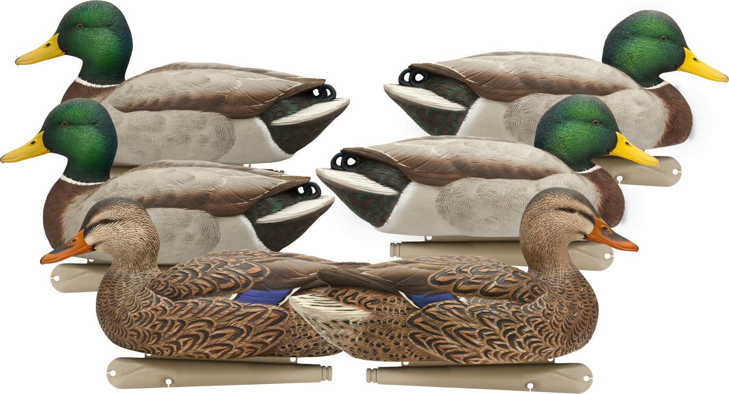 AvianX Top Flight Open Water Mallards Decoys Set Academy