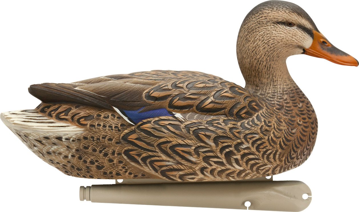 AvianX Top Flight Open Water Mallards Decoys Set Academy