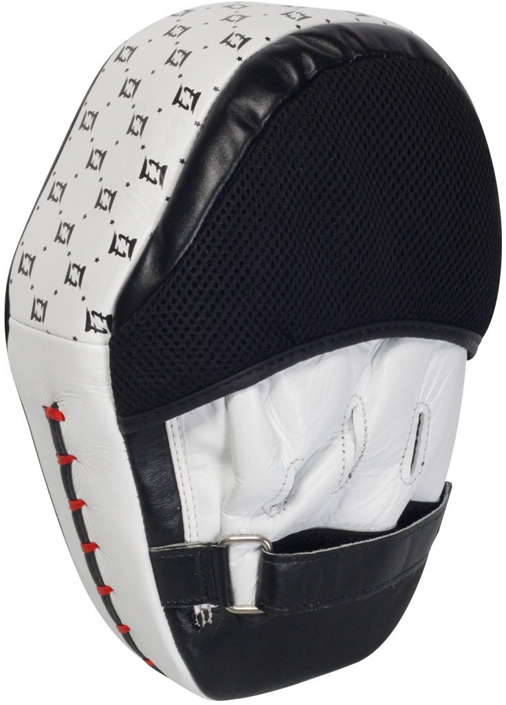 Fairtex Aero Focus Mitts - view number 3