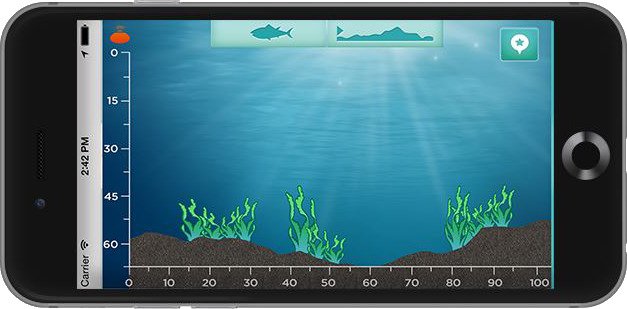 ReelSonar iBobber Portable Sonar Fish Finder