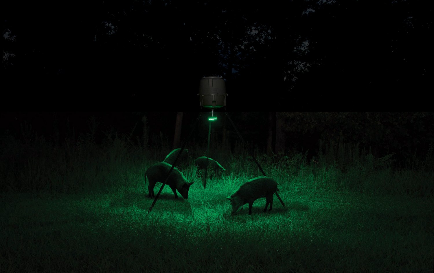 Moultrie Feeder Hog Light - view number 3