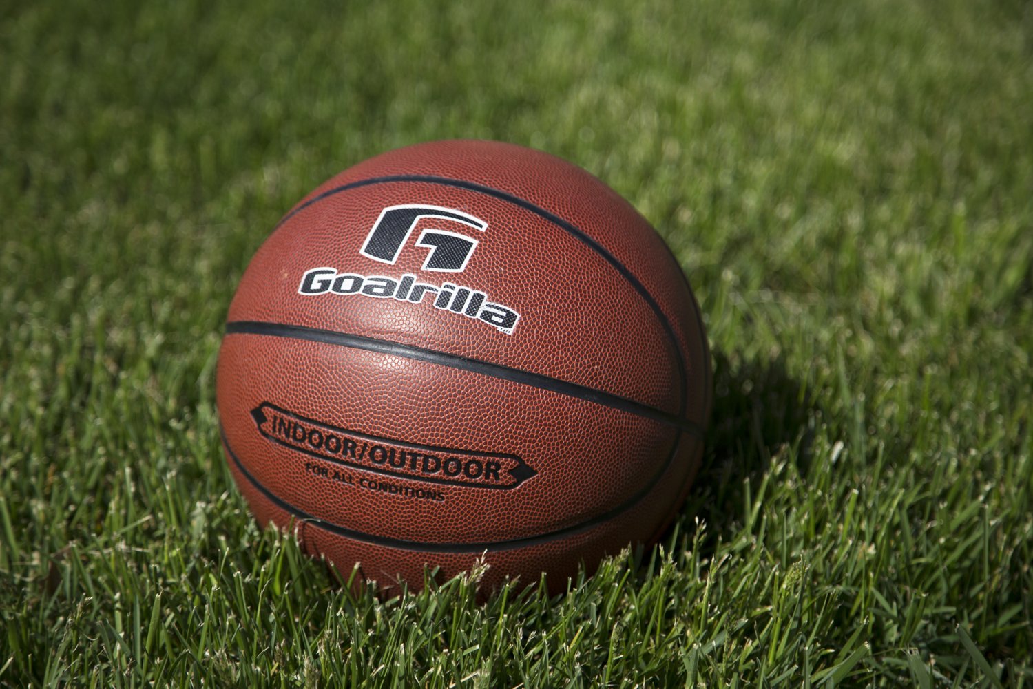 Goalrilla Indoor/Outdoor Basketball                                                                                              - view number 2