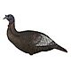 Flextone Thunder Chick Upright 3-D Turkey Decoy                                                                                  - view number 1 image