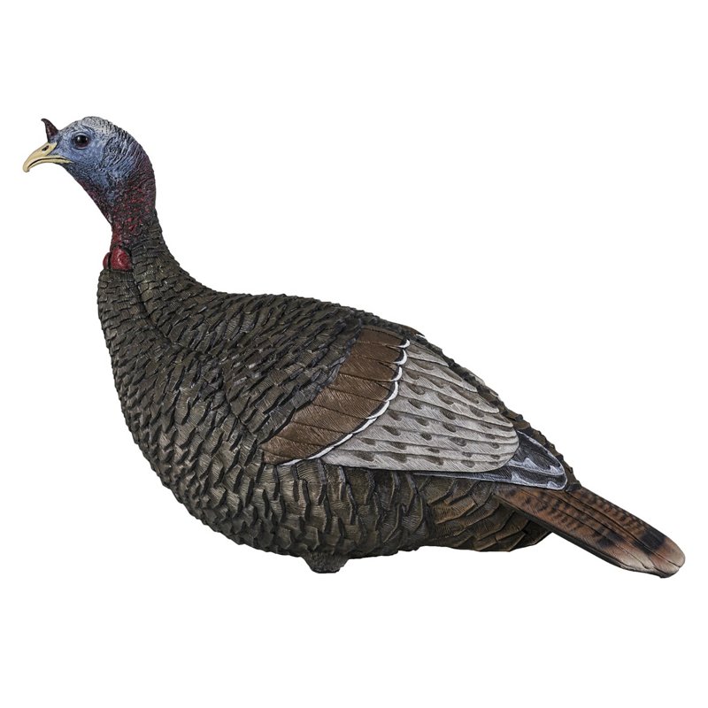 Flextone Thunder Jake 1/4 Strut 3-D Turkey Decoy - Decoys And Accessoriesories at Academy Sports