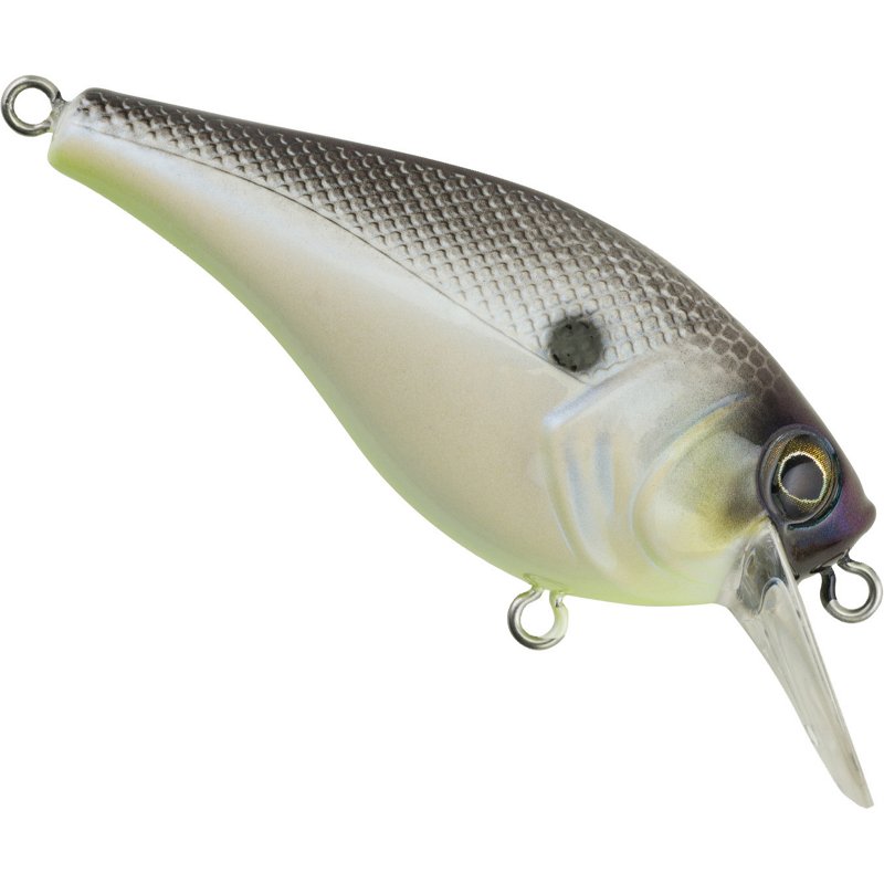 Berkley Pitbull 1/4 oz. Floating Hard Swim Bait White - Frsh Water Hard Baits at Academy Sports