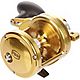 PENN Torque TRQ30LD2 Lever Drag 2-Speed Conventional Reel                                                                        - view number 2 image