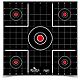 Birchwood Casey Dirty Bird 12 in Sight-in Targets 12-Pack                                                                        - view number 1 selected