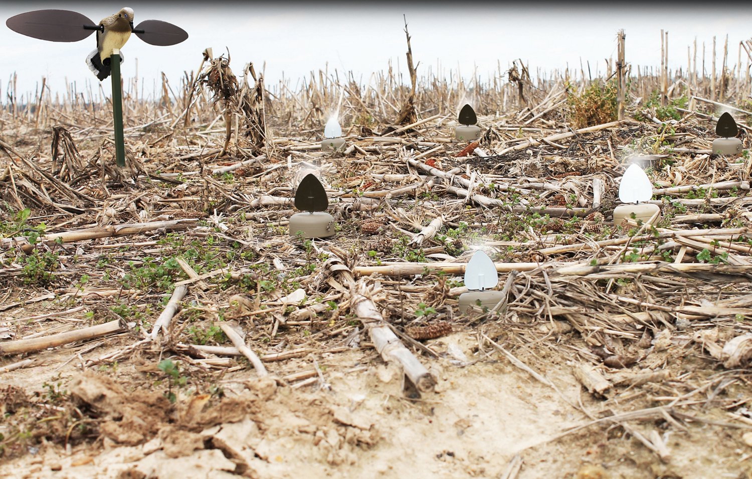 MOJO Outdoors Dove A Flickers Decoys 4-Pack - view number 2