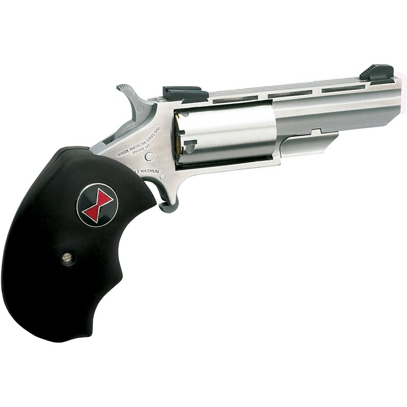 North American Arms… - image