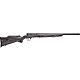 Savage Arms B.Mag Heavy Barrel .17 WSM Bolt-Action Rifle                                                                         - view number 1 image
