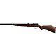 Savage Arms 93R17 GLV .17 HMR Bolt-Action Rifle                                                                                  - view number 1 selected