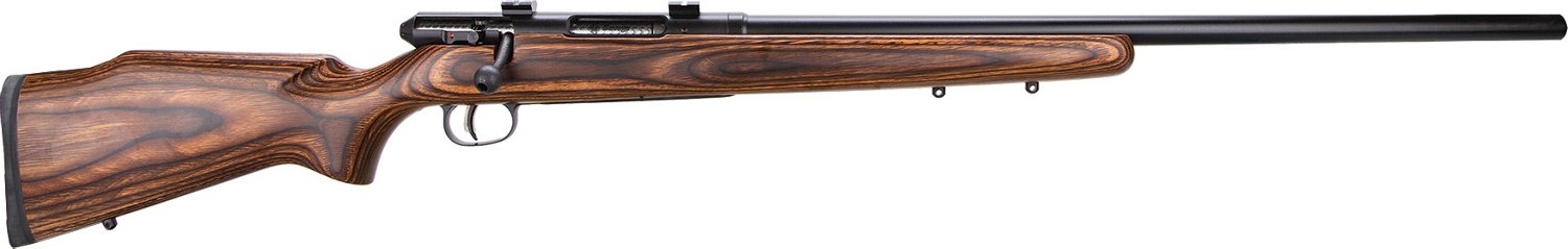 Savage Arms 25 Lightweight Varminter .17 Hornet Bolt-Action Rifle