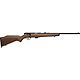 Savage Arms 93 G .22 WMR Bolt-Action Rifle                                                                                       - view number 1 image