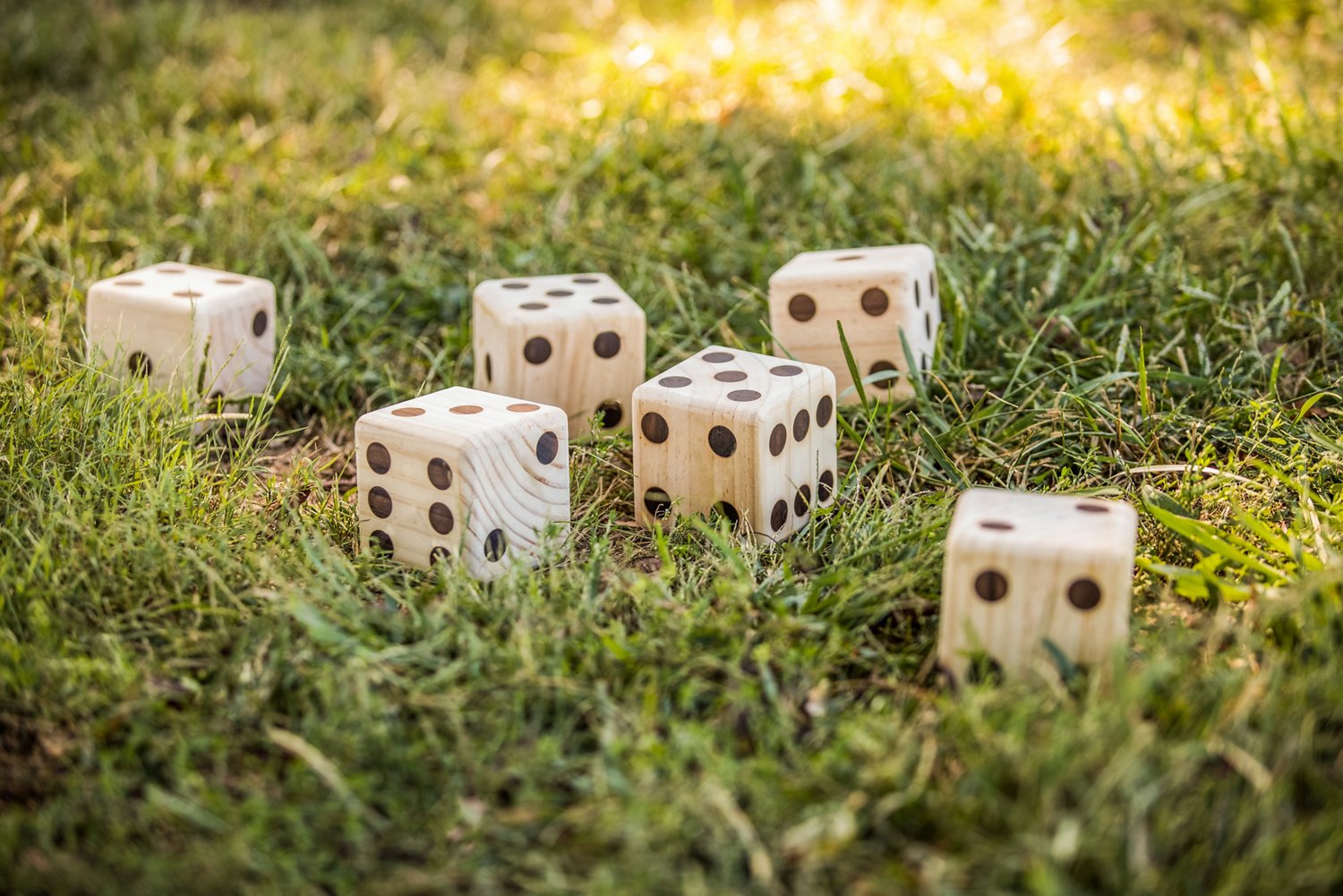 Triumph Big Roller Lawn Dice Game