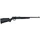 Savage Arms F B22 .22 LR Bolt-Action Rifle                                                                                       - view number 1 selected