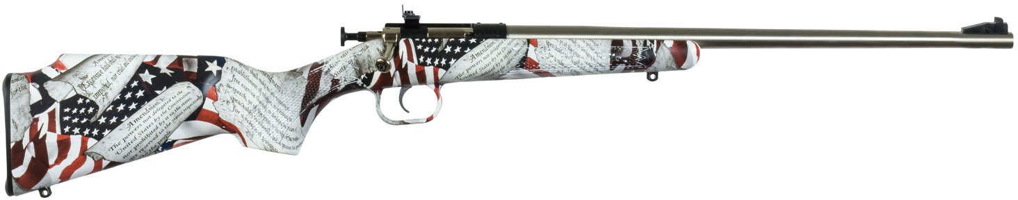 Crickett Youth Synthetic Stock .22 LR Bolt-Action Pattern Rifle - view number 1