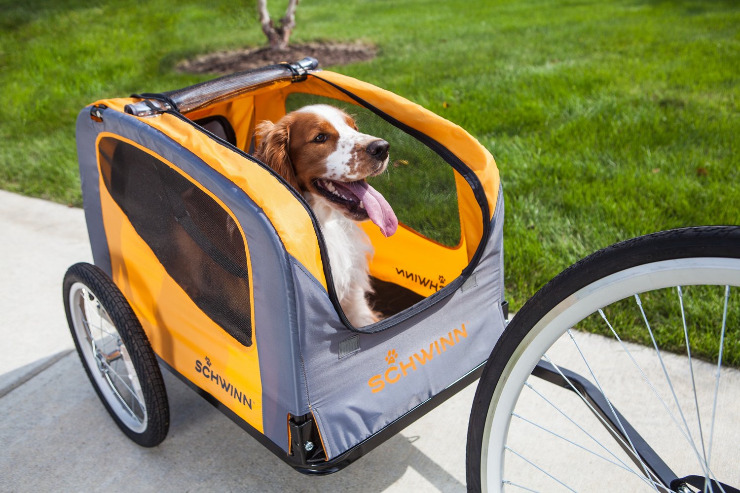 Schwinn rascal clearance handlebar pet carrier