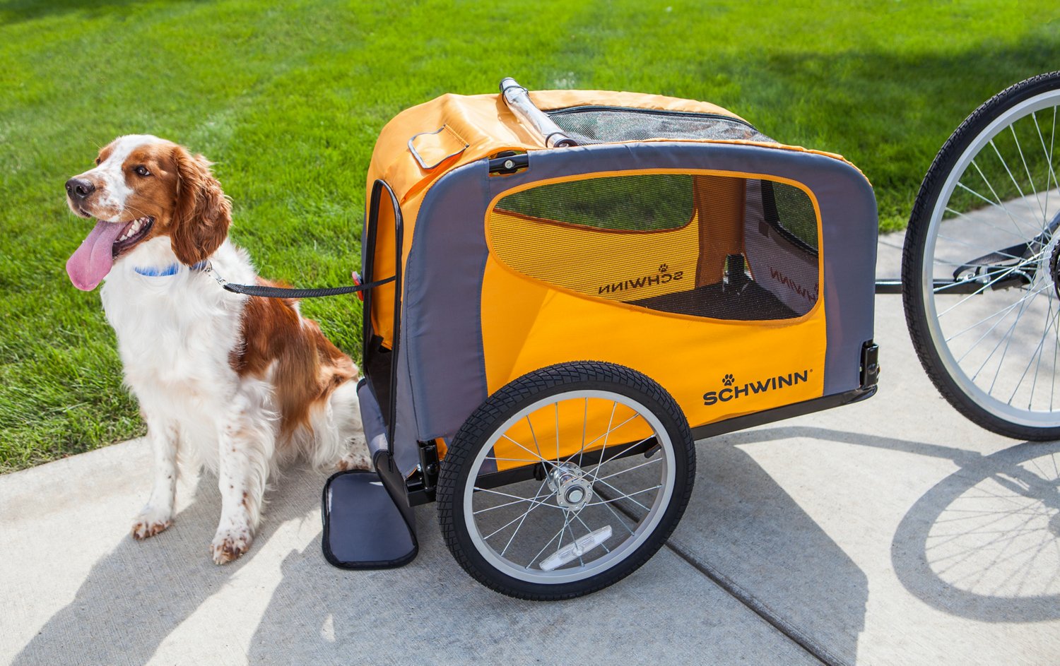 Schwinn Rascal Pet Trailer Academy