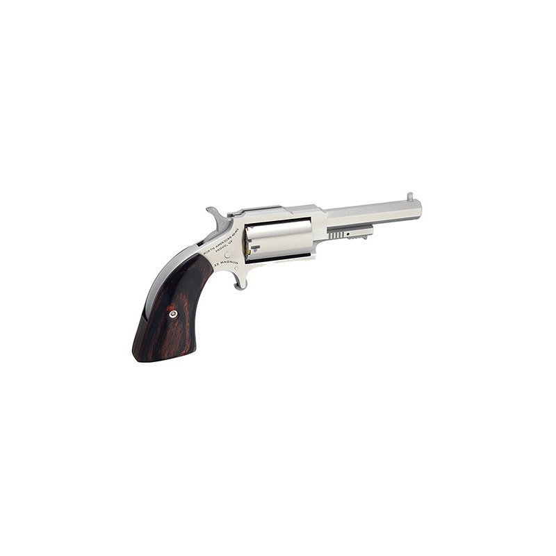 North American Arms… - image