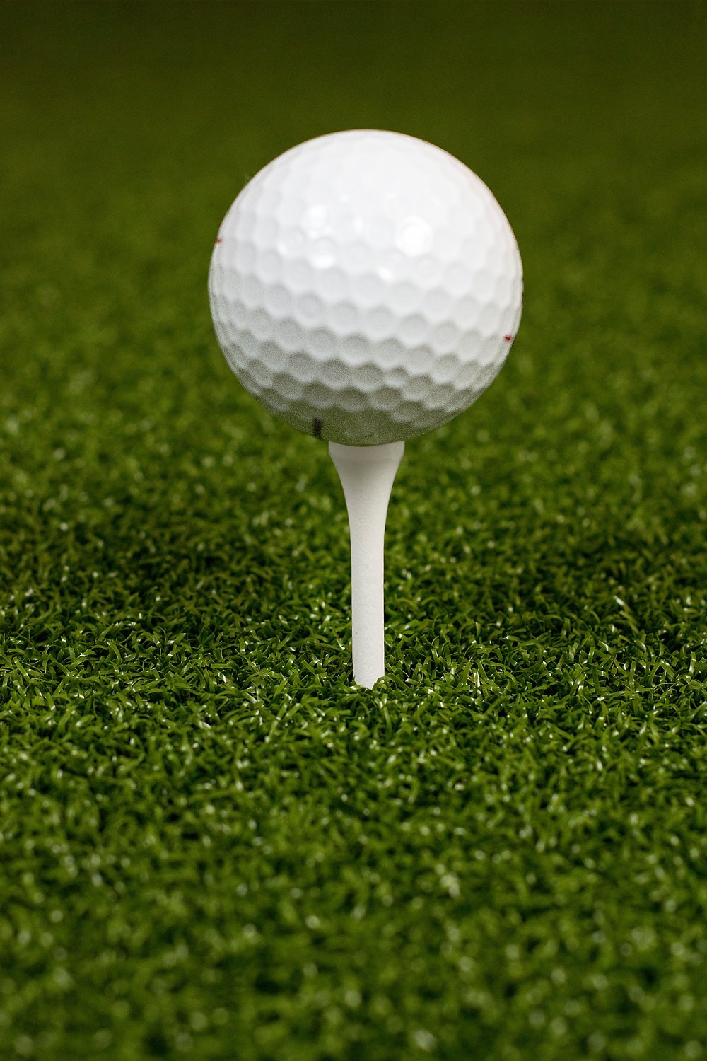 Players Gear 3-1/4 in Hardwood Tees 50-Pack - view number 2