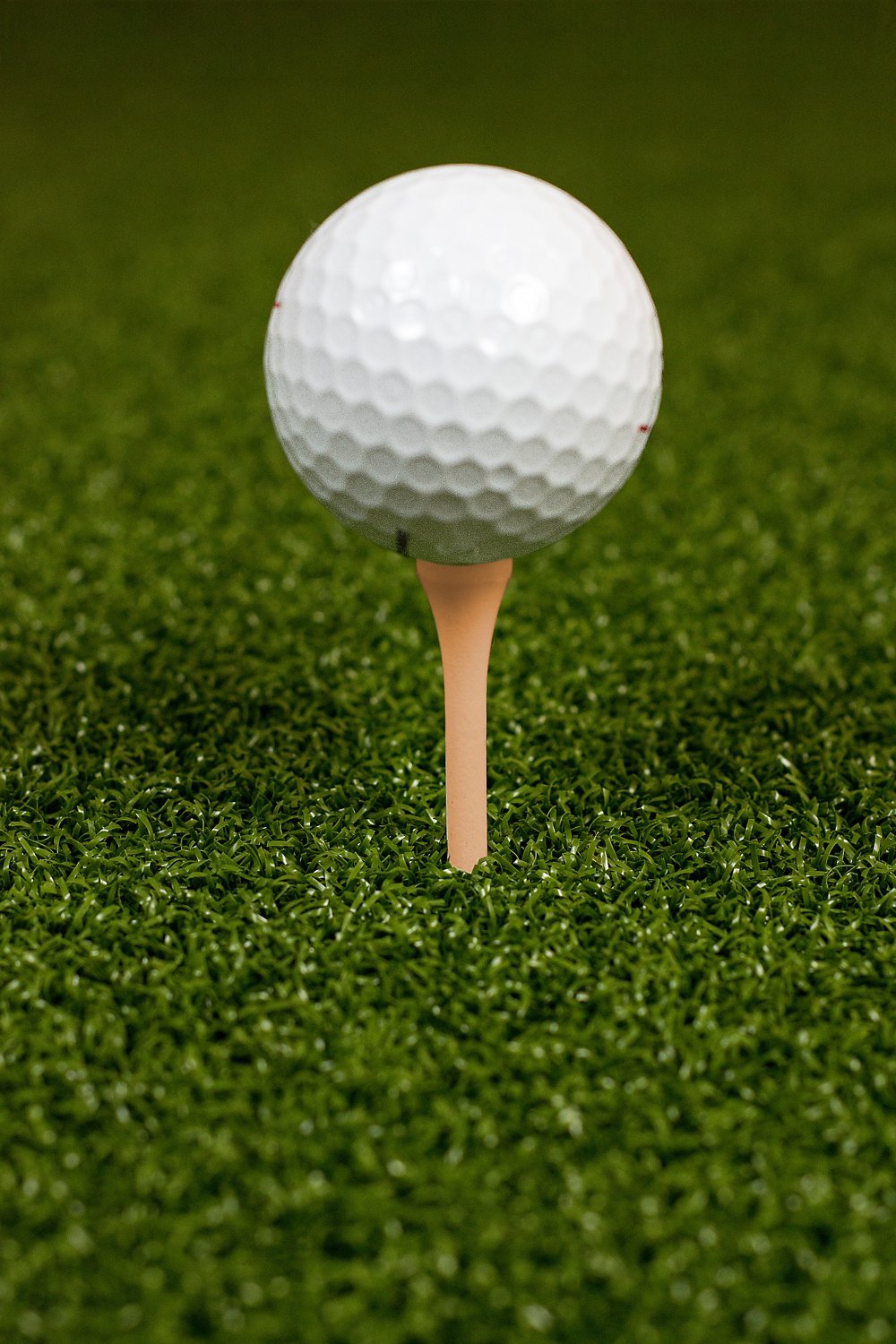 Players Gear 3-1/4 in Natural Hardwood Golf Tees 50-Pack - view number 2