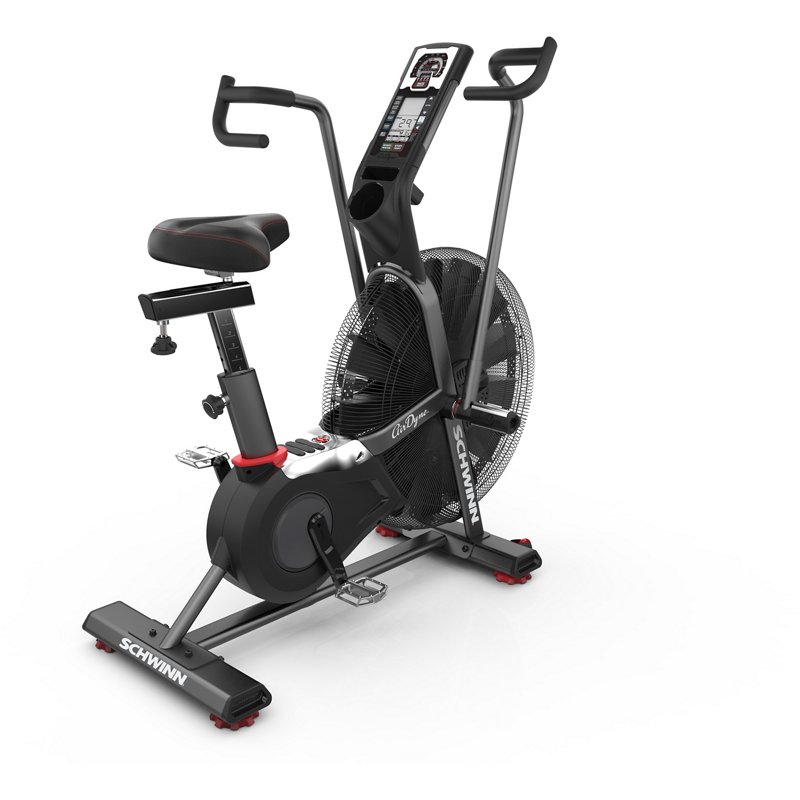 Schwinn AD7 Airdyne Bike - Floor Model