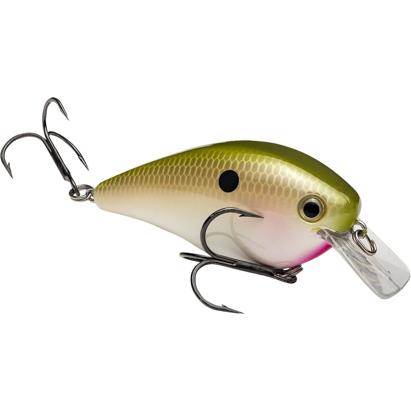 Strike King KVD 2.5 3-1/4" Crankbait Shad - Frsh Water Hard Baits at Academy Sports
