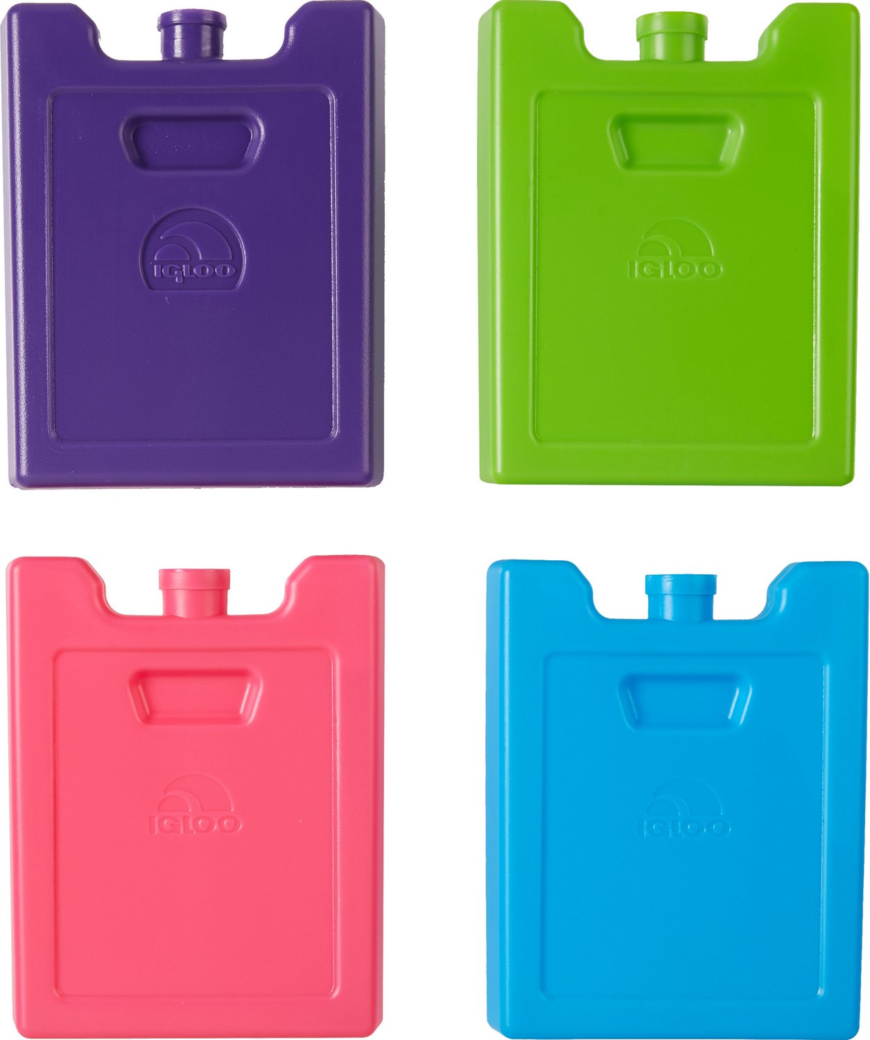  Igloo Ice Blocks- pack of 4 : Sports & Outdoors