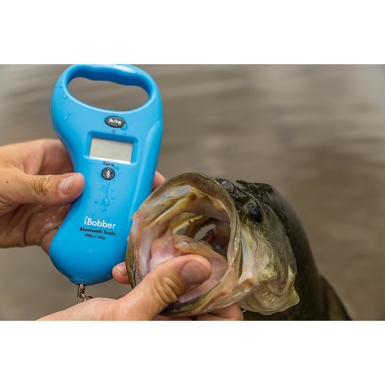 ReelSonar iBobber Bluetooth Scale                                                                                                - view number 4