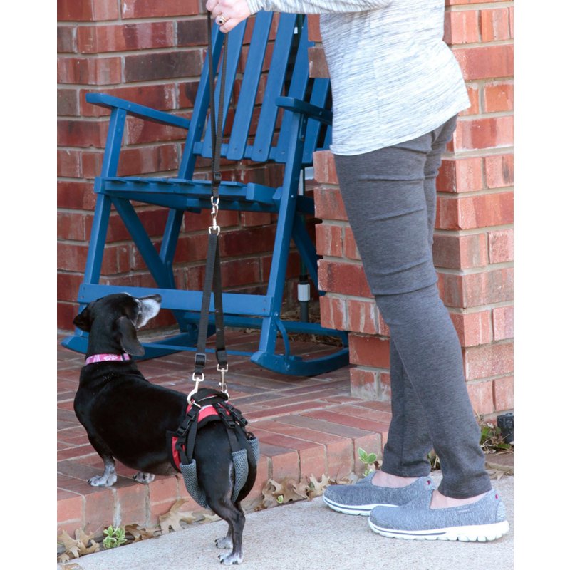 Petsafe Solvit Carelift Lifting Harness