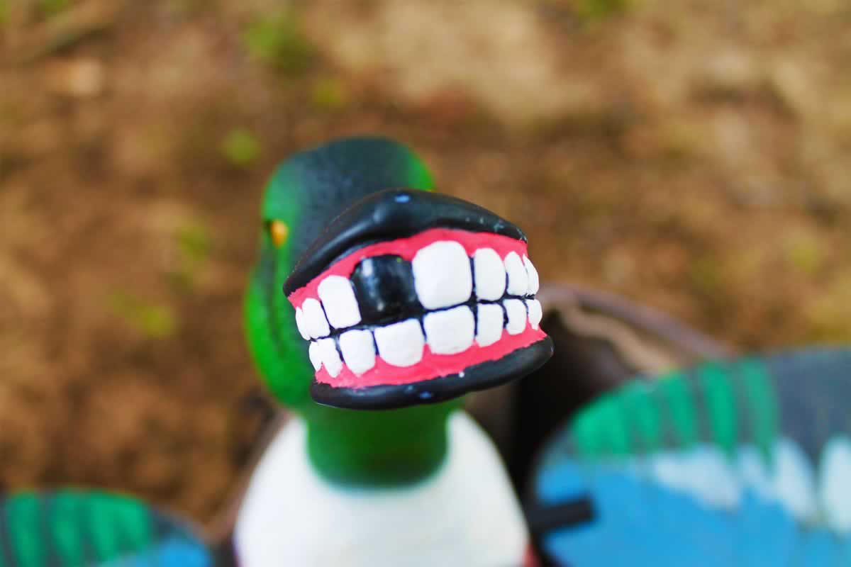 MOJO Outdoors Spoonzilla Spinning Wing Duck Decoy Academy