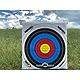 Morrell NASP Youth Target                                                                                                        - view number 6