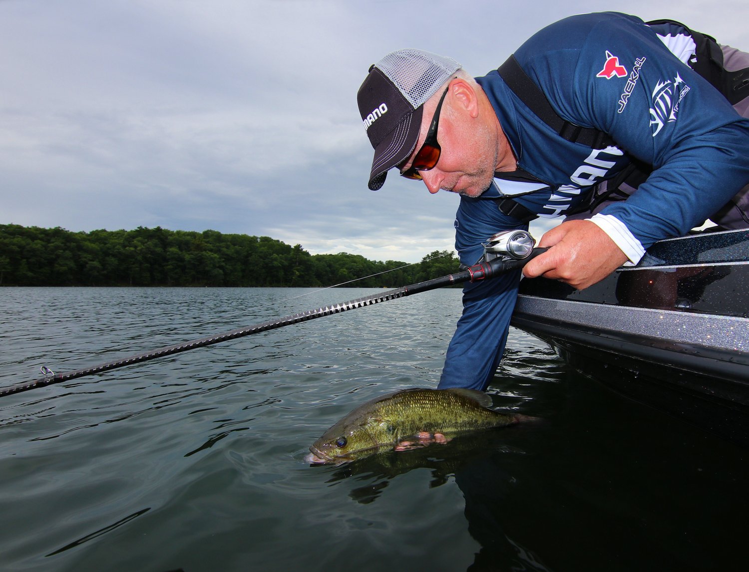 Shimano Zodias Freshwater Casting Rod                                                                                            - view number 6