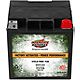 Interstate Batteries 12 V Cycle-Tron Plus Power Performance Battery                                                              - view number 1 selected