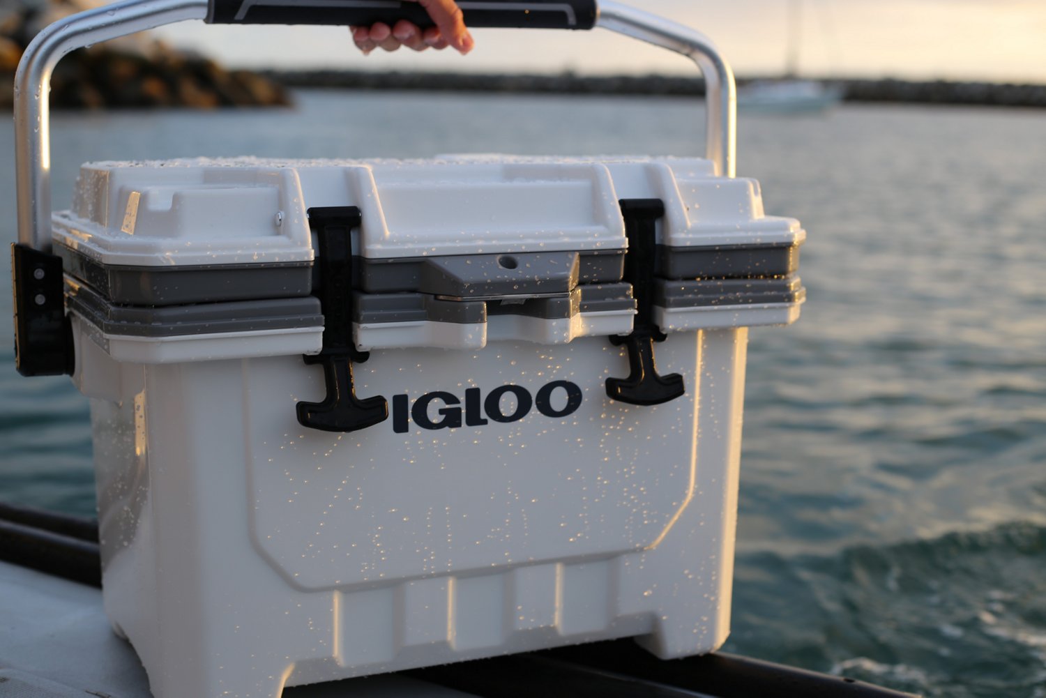 IGLOO IMX 24 QT Hard Cooler White, 45% OFF