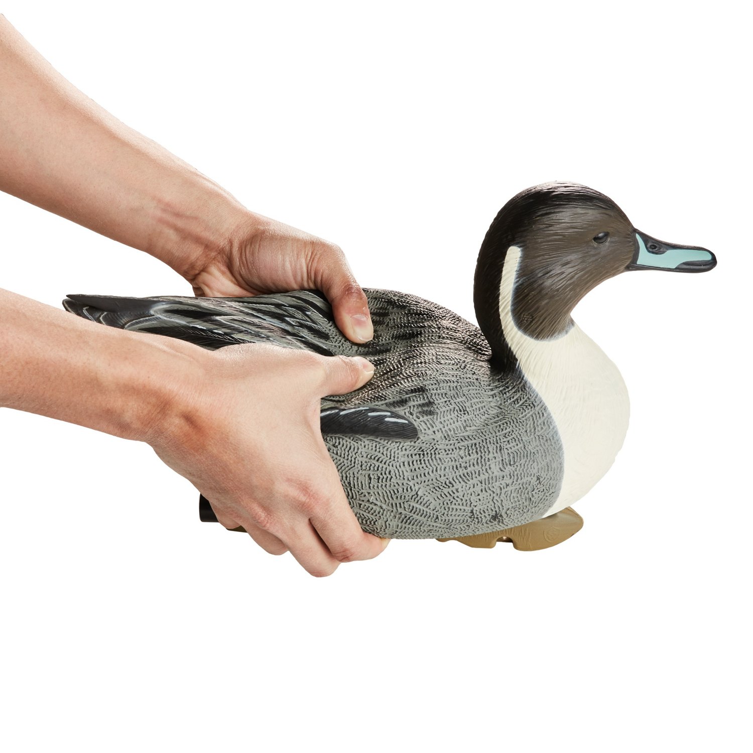 Game Winner FlexTuff Pintail Decoys 6-Pack                                                                                       - view number 4