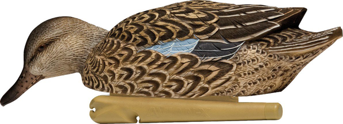 Avian-X Topflight Early Season Teal Decoys 6-Pack - view number 4