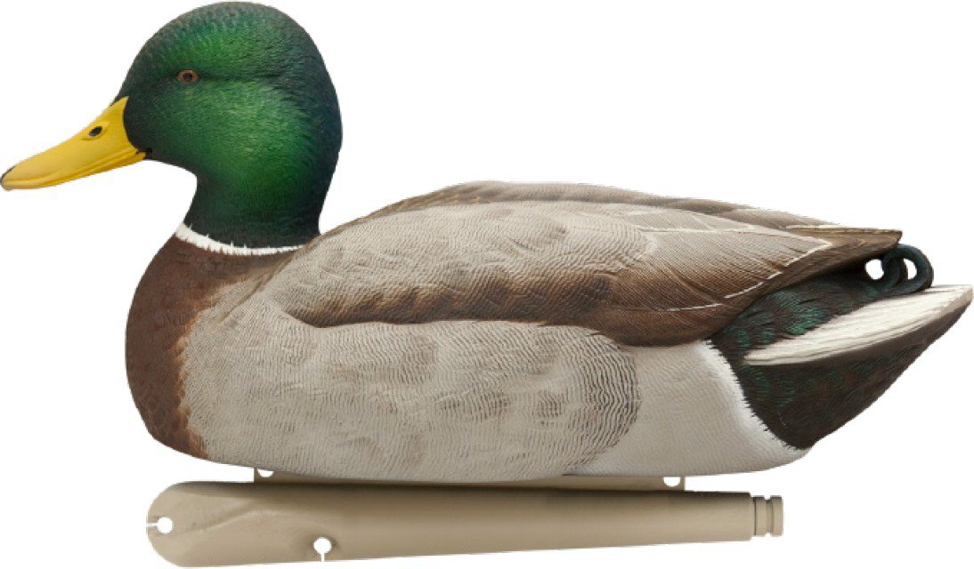 Avian-X Topflight Fusion Mallard Decoys 6-Pack                                                                                   - view number 2
