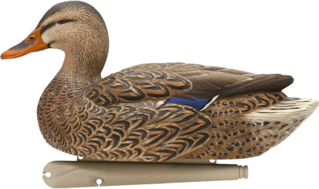 Avian-X Topflight Fusion Mallard Decoys 6-Pack                                                                                   - view number 3
