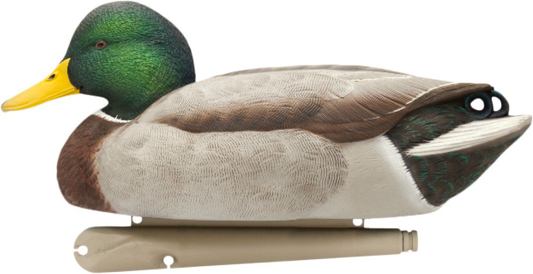 Avian-X Topflight Fusion Mallard Decoys 6-Pack                                                                                   - view number 4