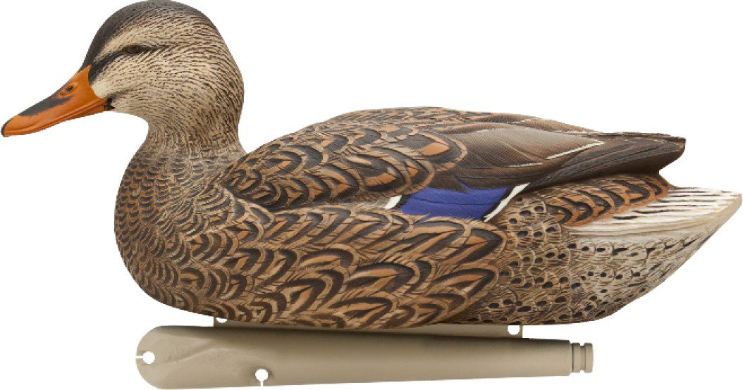 Avian-X Topflight Fusion Mallard Decoys 6-Pack                                                                                   - view number 5