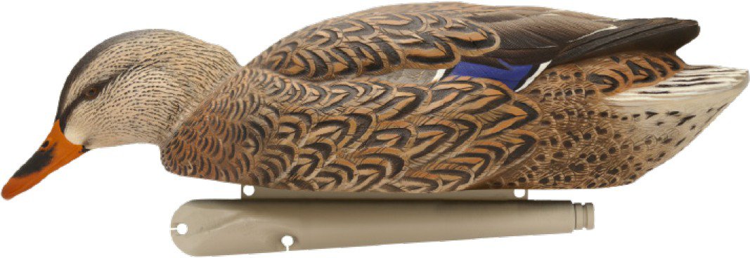 Avian-X Topflight Fusion Mallard Decoys 6-Pack                                                                                   - view number 7
