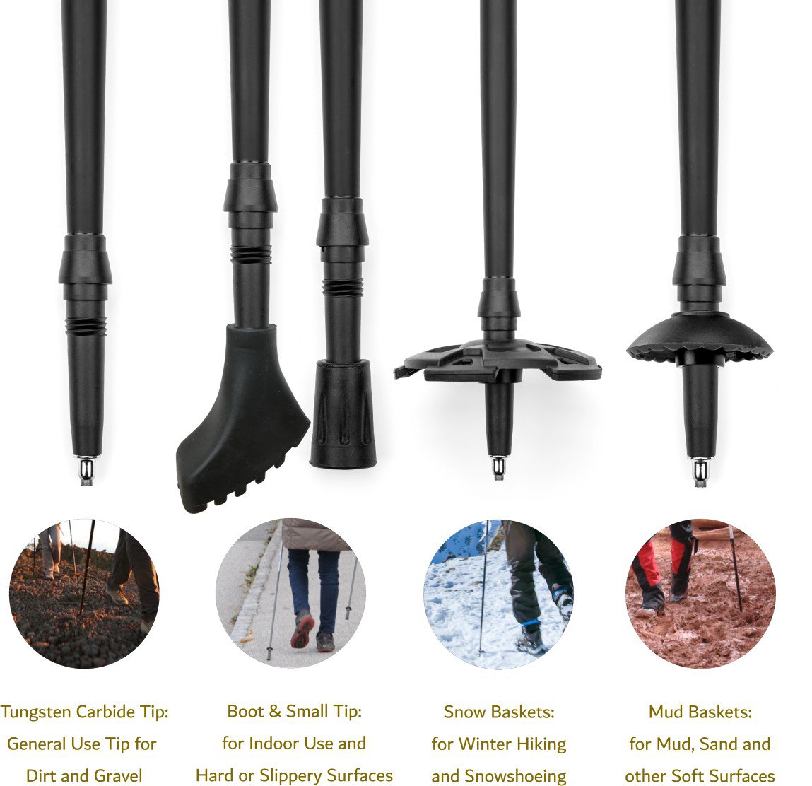 Eddie bauer trekking pole online