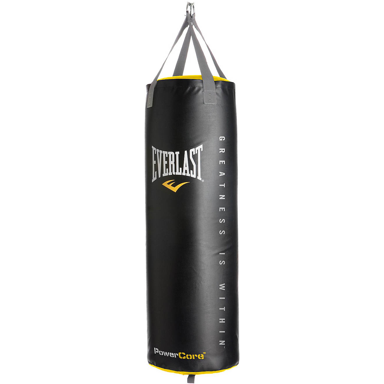Everlast® Powercore 100 lb. Synthetic Leather Heavy Bag                                                                         - view number 1