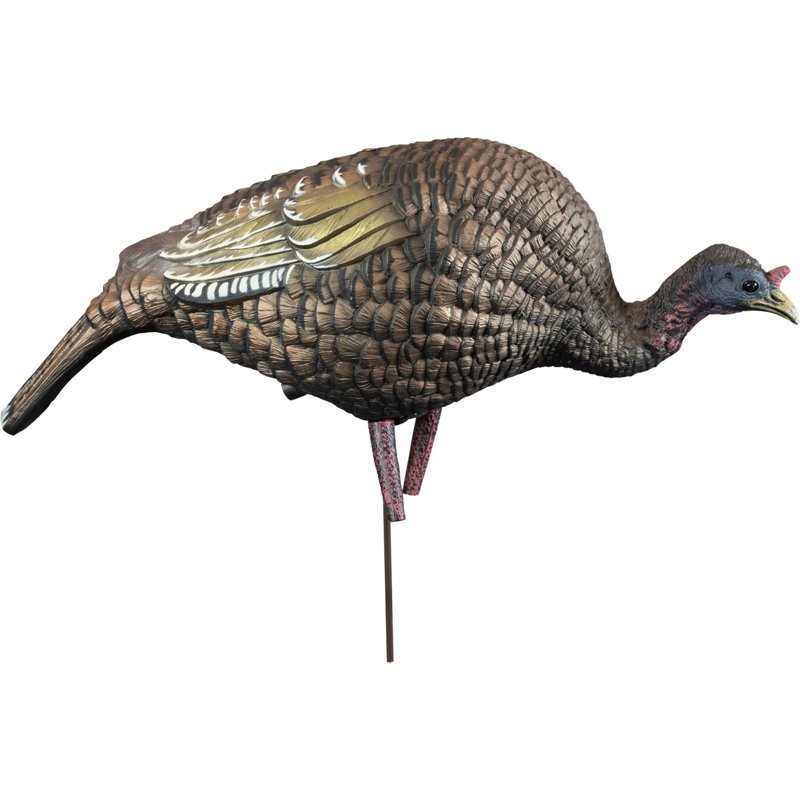 Higdon Feeder Hen Turkey Decoy - Decoys And Accessoriesories at Academy Sports