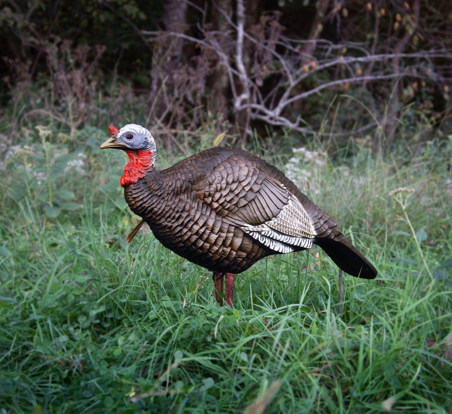 Higdon Quarter Strut Jake Decoy                                                                                                  - view number 3