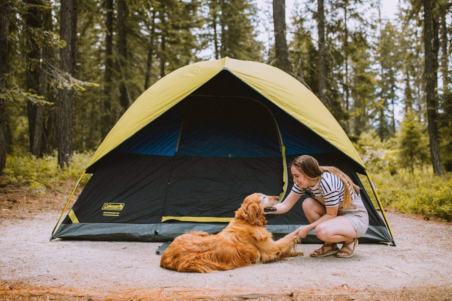 Coleman Dark Room 6 Person Sundome Tent