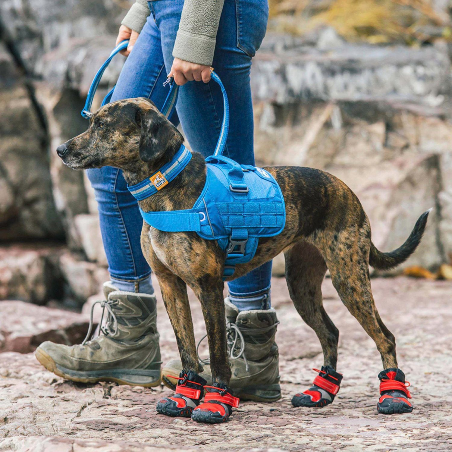 Kurgo RSG Small Townie Harness - view number 3